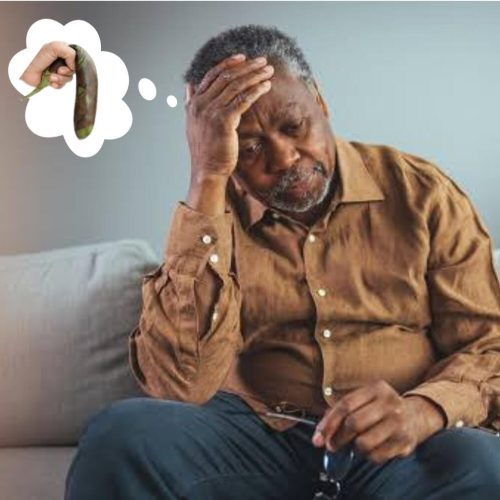 66c88398414c3_WhatsAppImage2024-08-23at01.41.36_9b0cf401-qvdp1isu5udfd0n0vu2trhr6jnb8ftvnscmw7y5rig-1